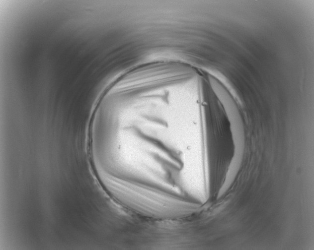 X0000066020815200603312047