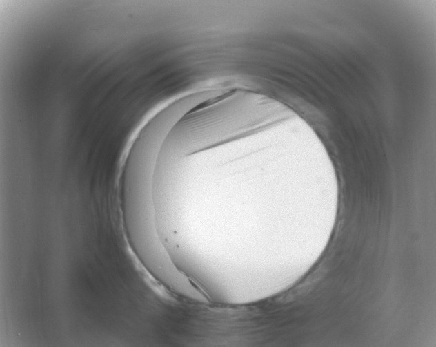 X0000066020816200603312047