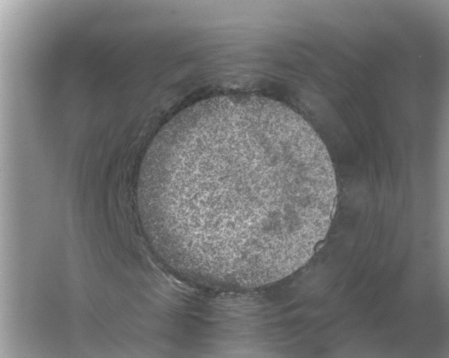 X0000066020817200603312046