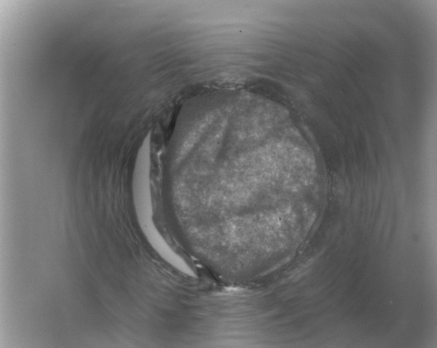 X0000066020818200603312046