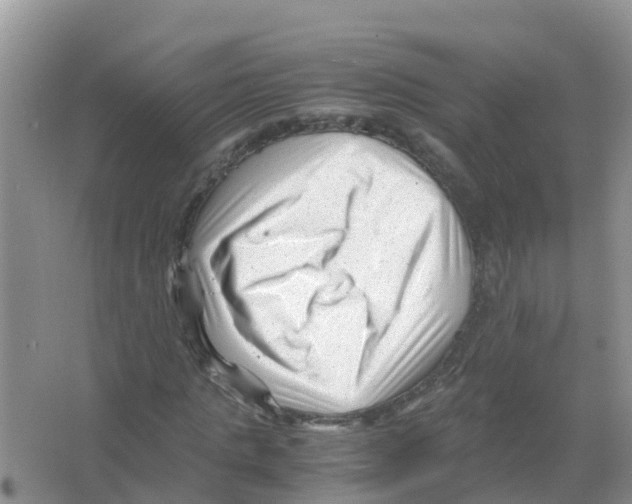 X0000066020821200603312046