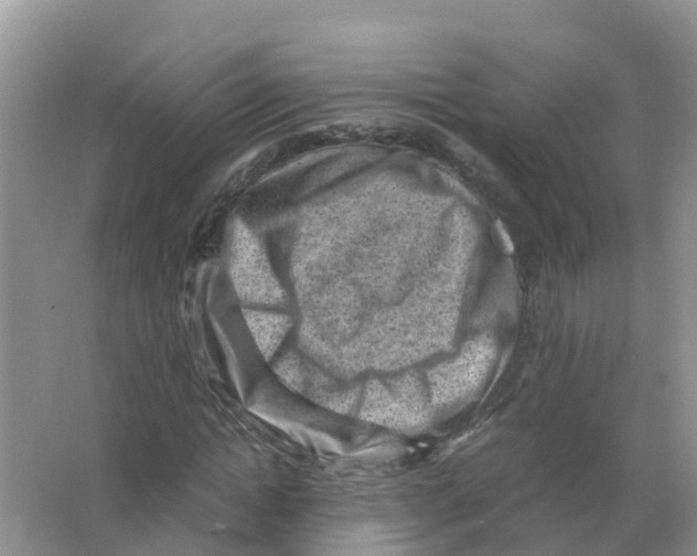 X0000066020822200603312046