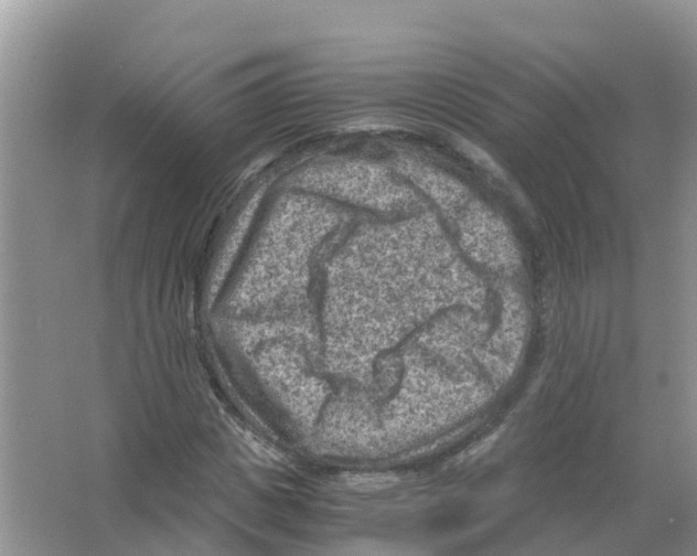 X0000066020825200603312046