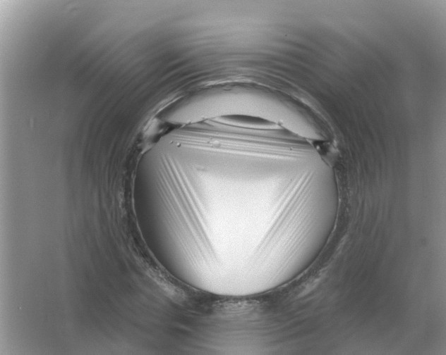 X0000066020826200603312046