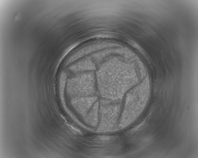 X0000066020829200603312047