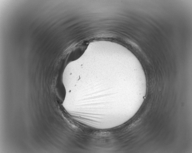 X0000066020833200603312047