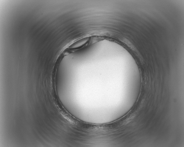 X0000066020834200603312047