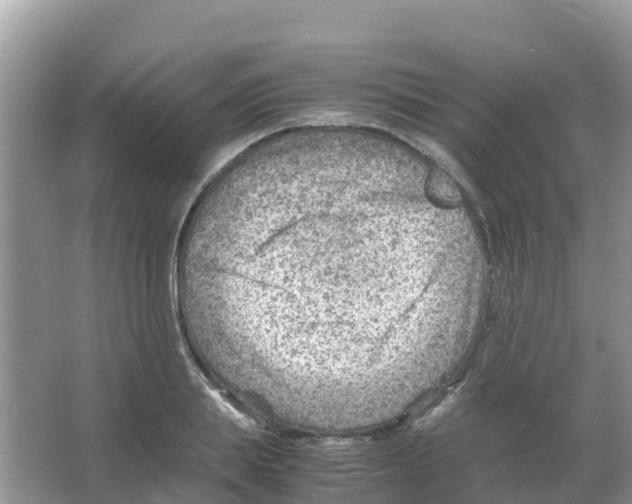 X0000066020839200603312047