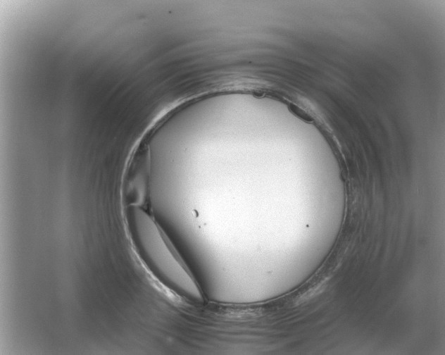 X0000066020843200603312047