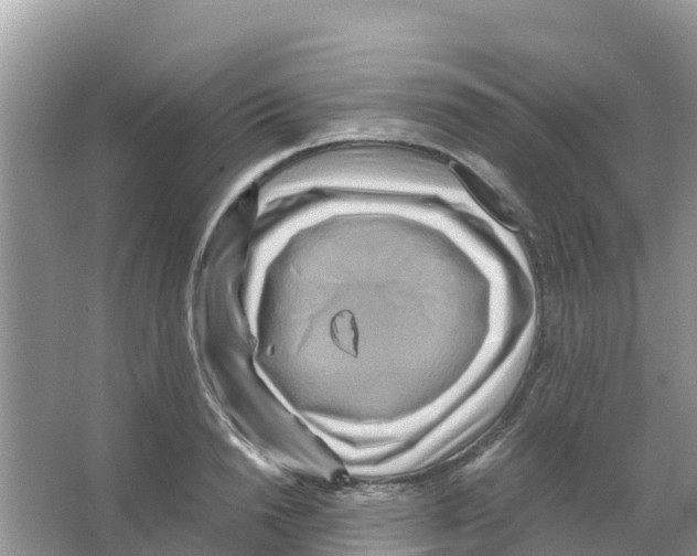 X0000066020846200603312047