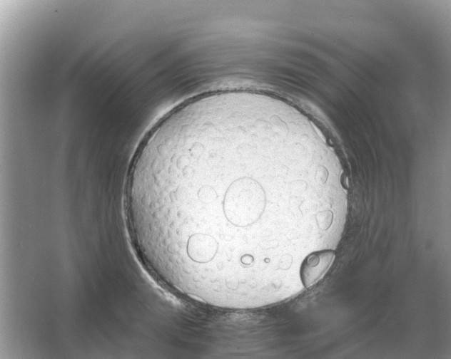 X0000066020847200603312047