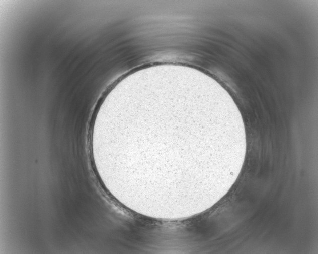 X0000066020848200603312047