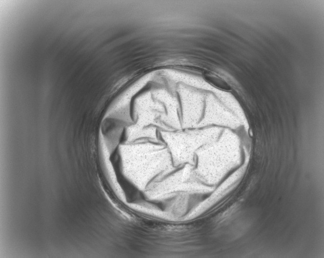 X0000066020849200603312047