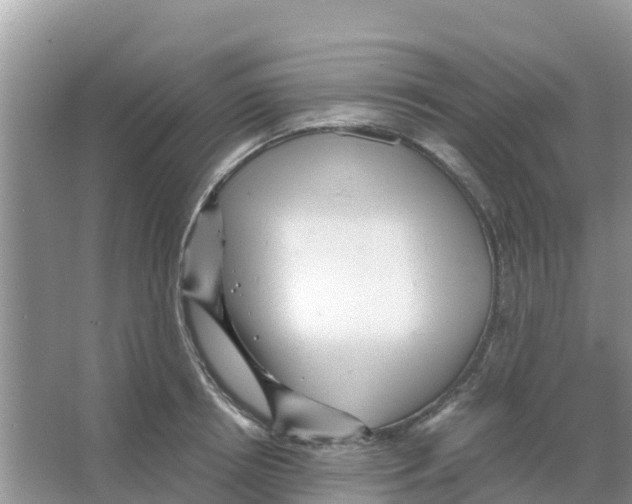 X0000066020850200603312047