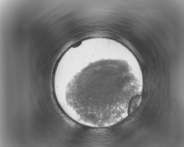 X0000066020853200603312047