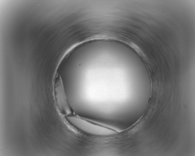 X0000066020854200603312047