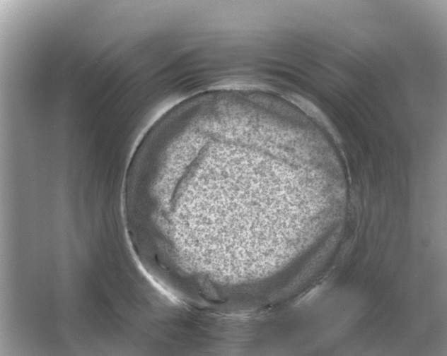 X0000066020855200603312047