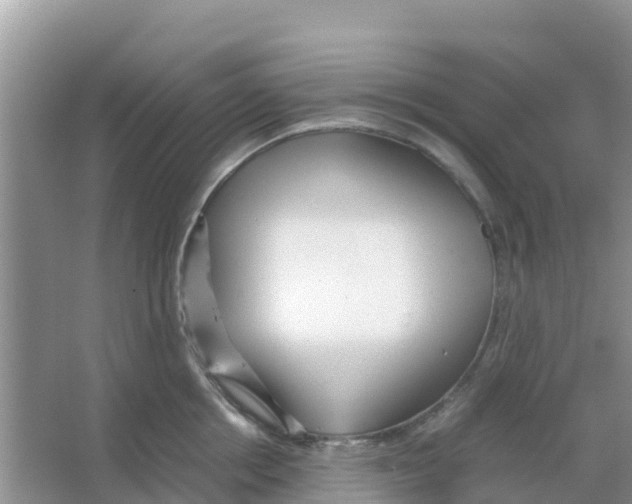 X0000066020858200603312047