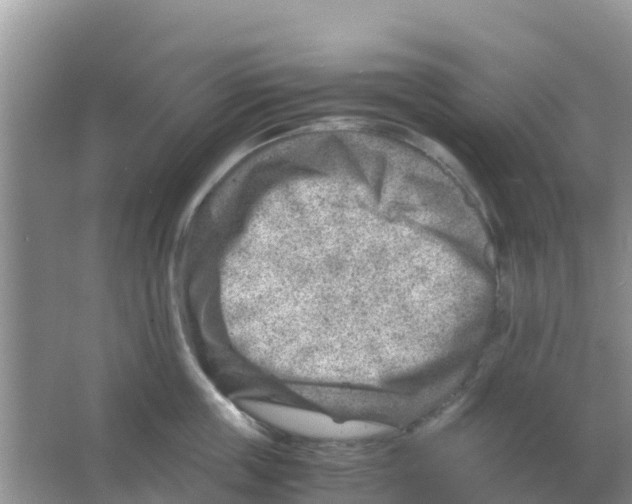 X0000066020859200603312047