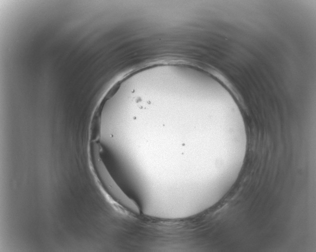 X0000066020861200603312047