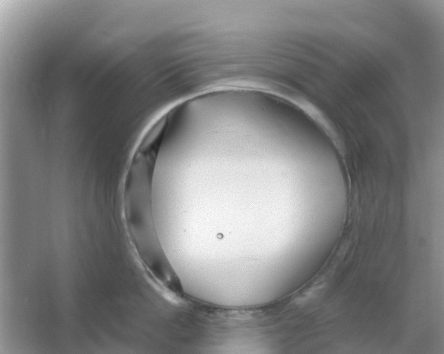 X0000066020862200603312047