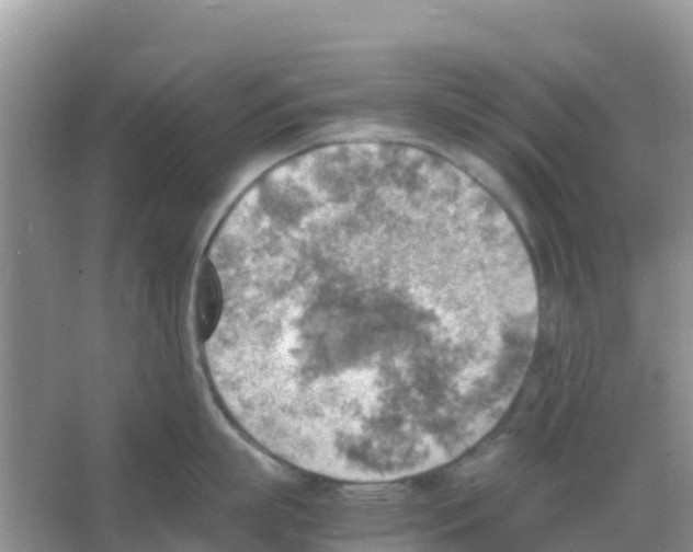 X0000066020863200603312047