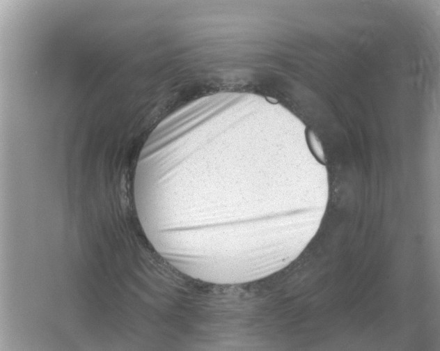 X0000066020866200603312046