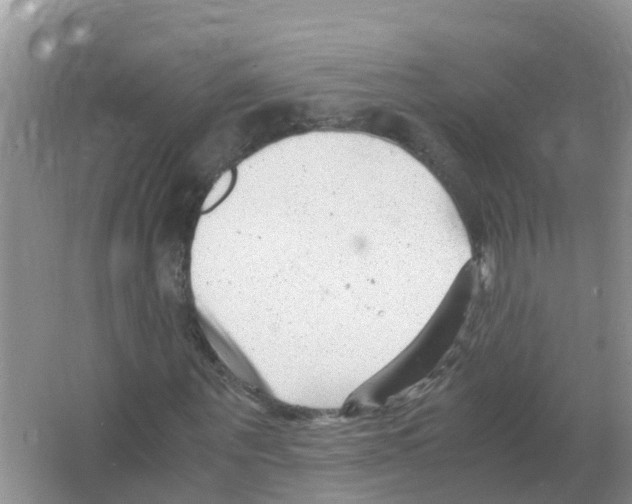 X0000066020867200603312046