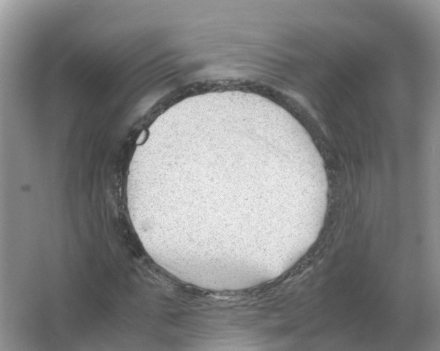 X0000066020871200603312046