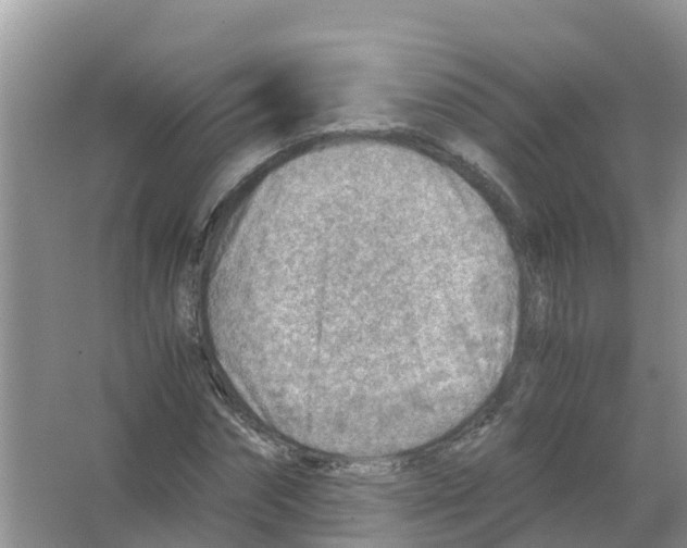 X0000066020874200603312046