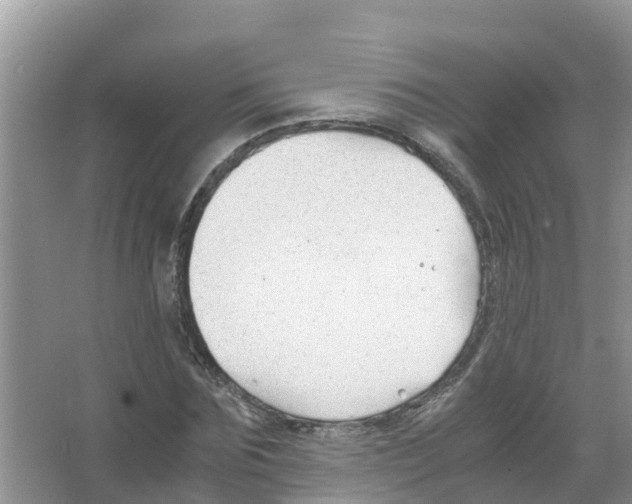 X0000066020875200603312046