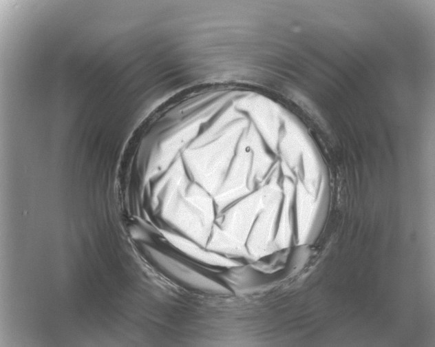 X0000066020876200603312046