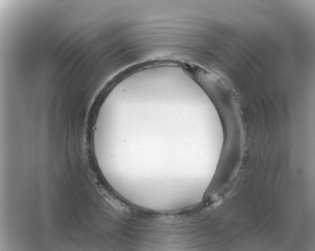 X0000066020880200603312046