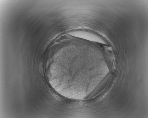 X0000066020881200603312046