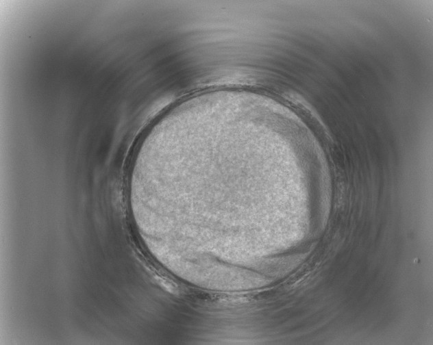 X0000066020882200603312046