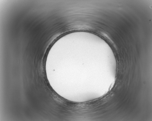 X0000066020883200603312046