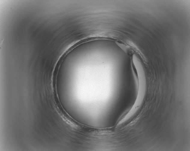 X0000066020884200603312046