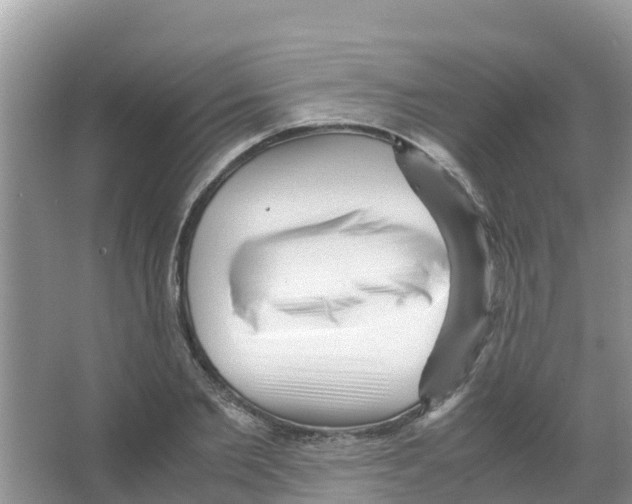 X0000066020885200603312046