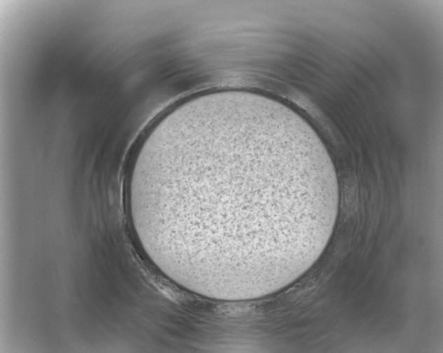 X0000066020886200603312046