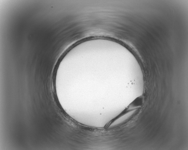 X0000066020887200603312046