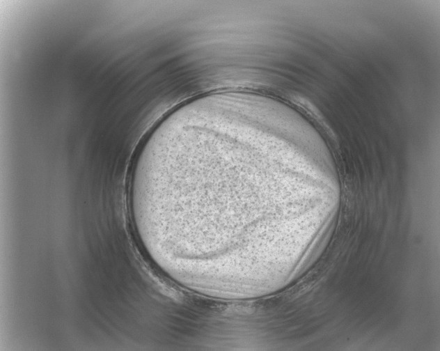 X0000066020890200603312046