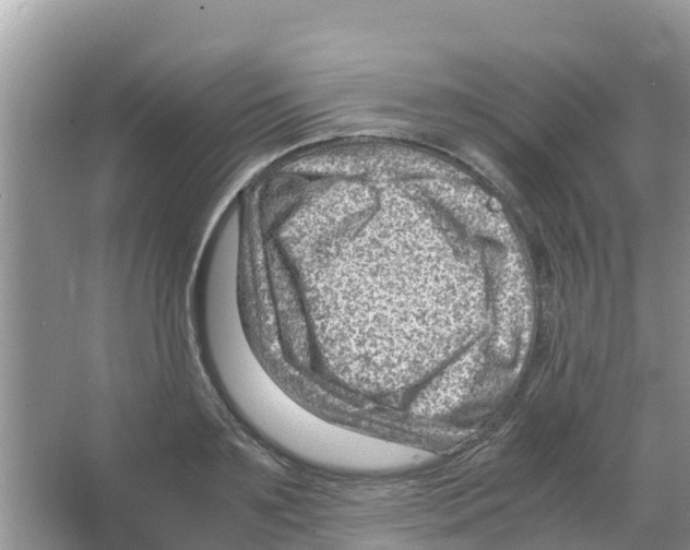 X0000066020891200603312046