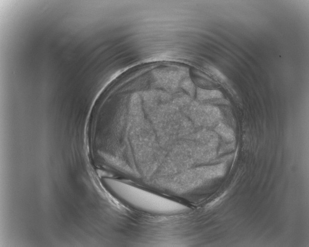 X0000066020892200603312046