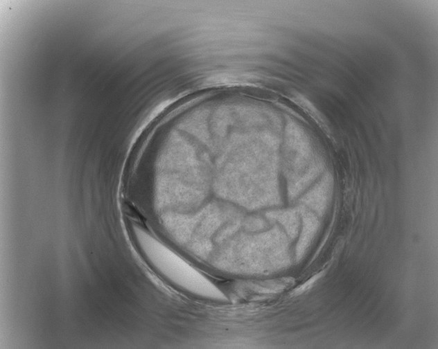 X0000066020893200603312046