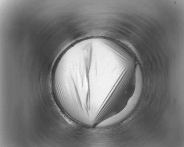 X0000066020894200603312046