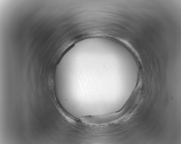 X0000066020897200603312046