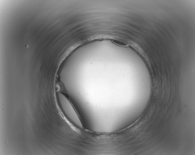 X0000066020898200603312046