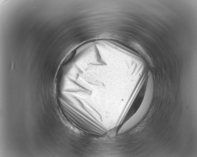 X0000066020900200603312046