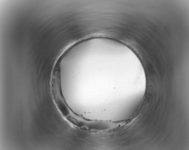 X0000066020902200603312046