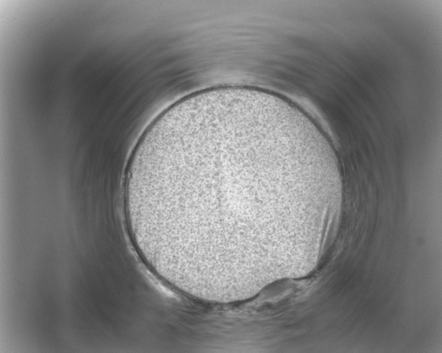 X0000066020903200603312046